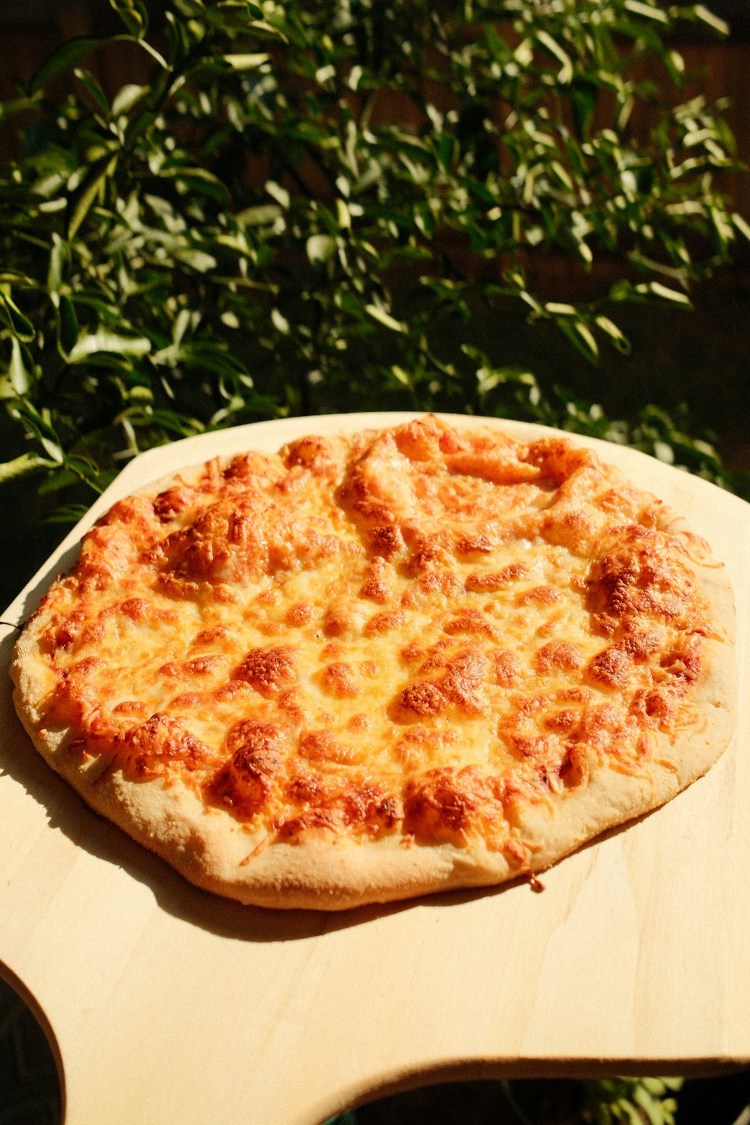 BBQ Chicken Pizza
